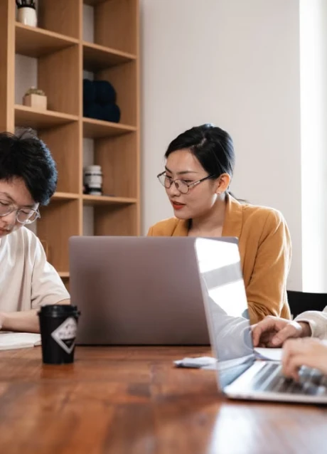 Team working together on laptops during a software project